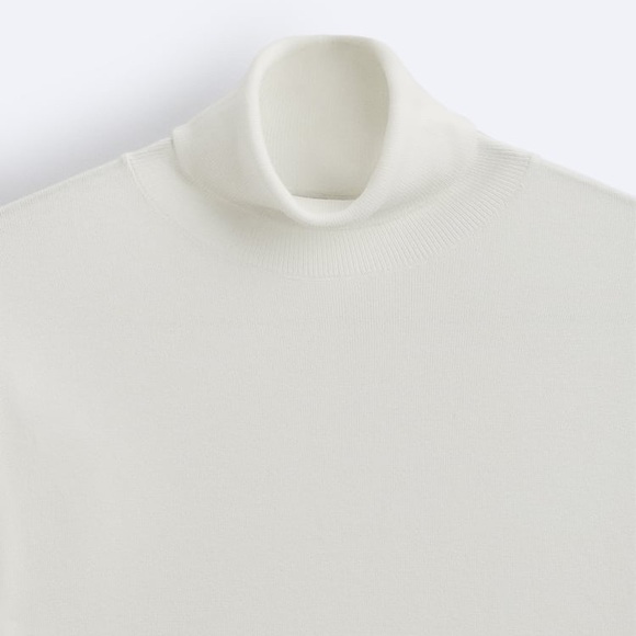 NWT $50- Zara Turtle Neck Sweater - Picture 8 of 10